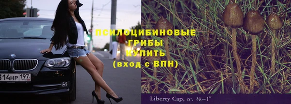 прущий лед Арсеньев