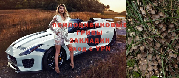 мяу мяу мука Аркадак